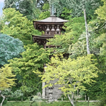 山本桂右　新緑の浄瑠璃寺三重塔