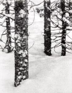 山田純嗣「ユウートゥアイナリ、フィンランド2月」銅版画　14,5×11,3cm